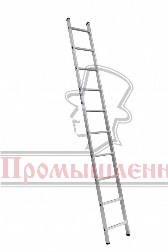 /upload/resize_cache/iblock/1f8/667_1000_149c5381d6704a324c0406b3269865c9a/1f871dd4e84eb6773c69c4b28da75911.jpg